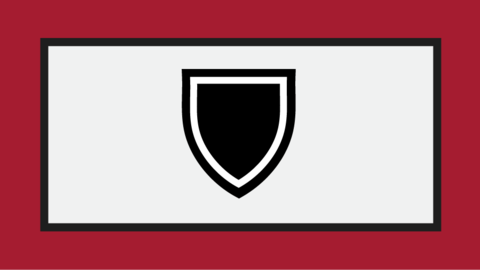 Icon showing a shield.